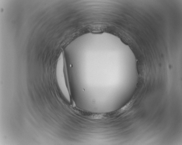 X0000052540086200507291901