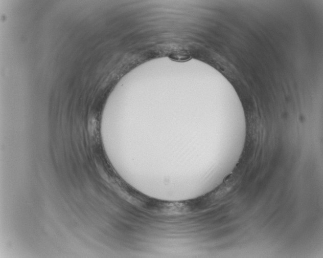 X0000052540087200507291901