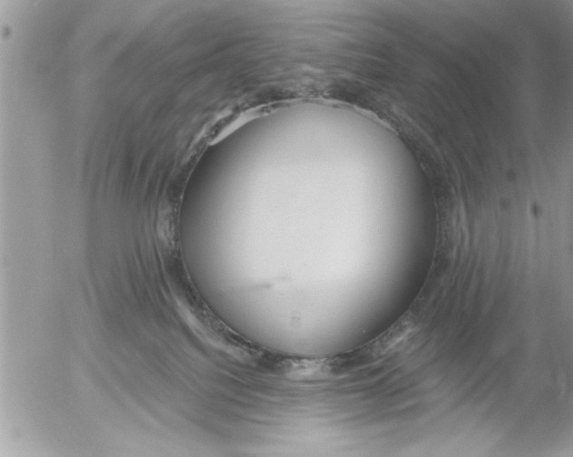 X0000052540088200507291901