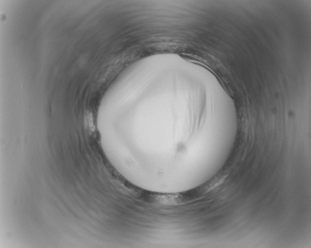 X0000052540089200507291901