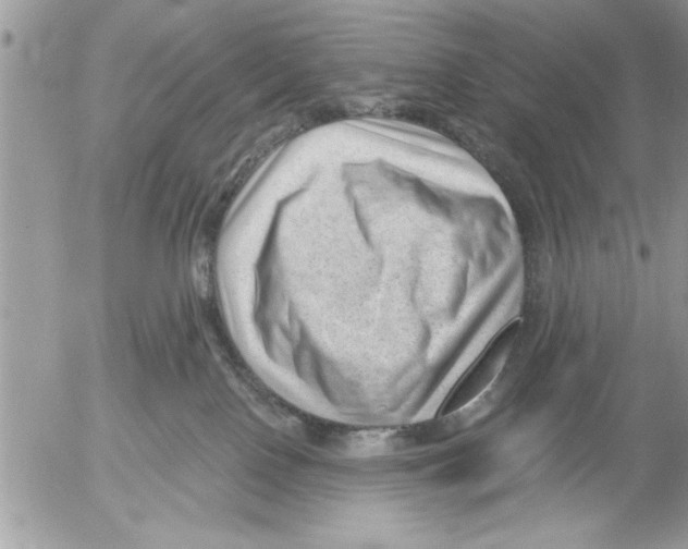 X0000052540090200507291901