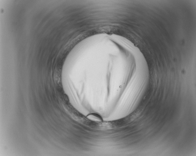 X0000052540091200507291901