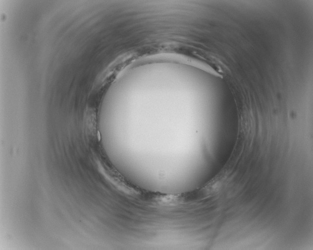 X0000052540092200507291901