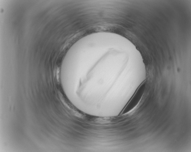 X0000052540094200507291901