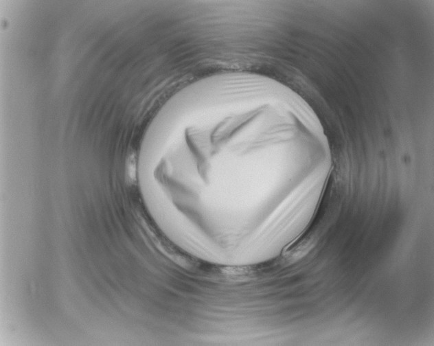 X0000052540095200507291901