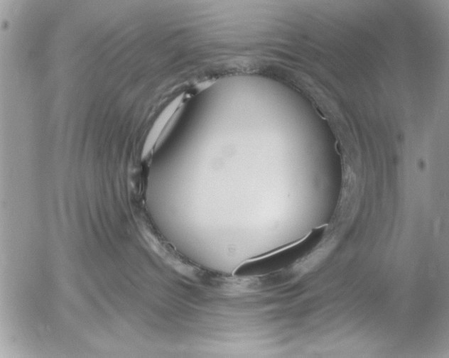 X0000052540096200507291901