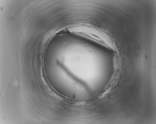 X0000052540097200507291900