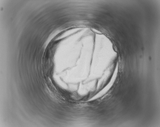 X0000052540099200507291900