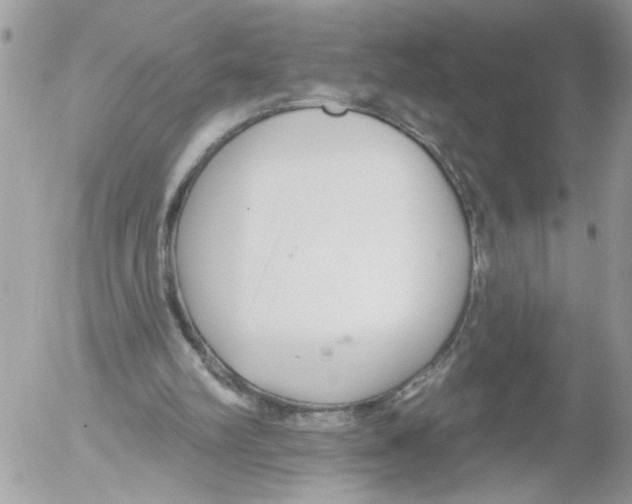 X0000052540102200507291900