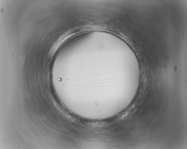 X0000052540103200507291900