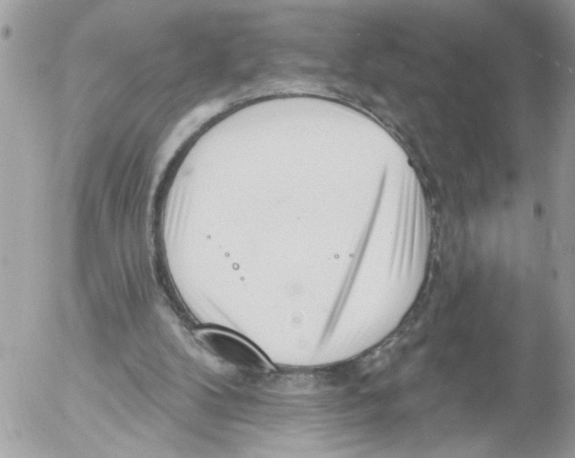 X0000052540104200507291900