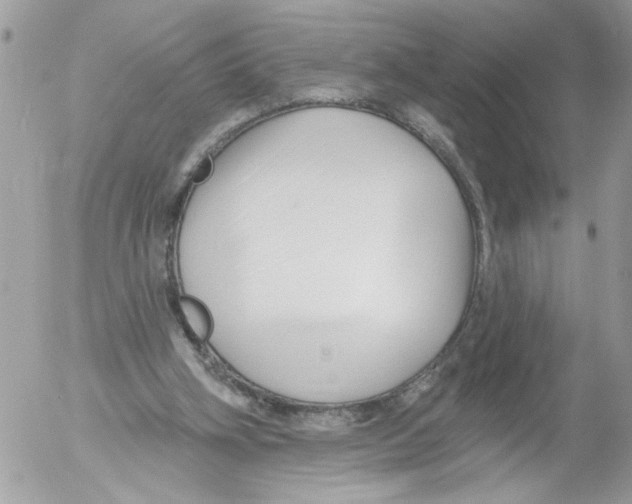 X0000052540106200507291900