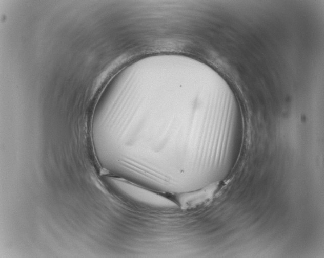 X0000052540107200507291900