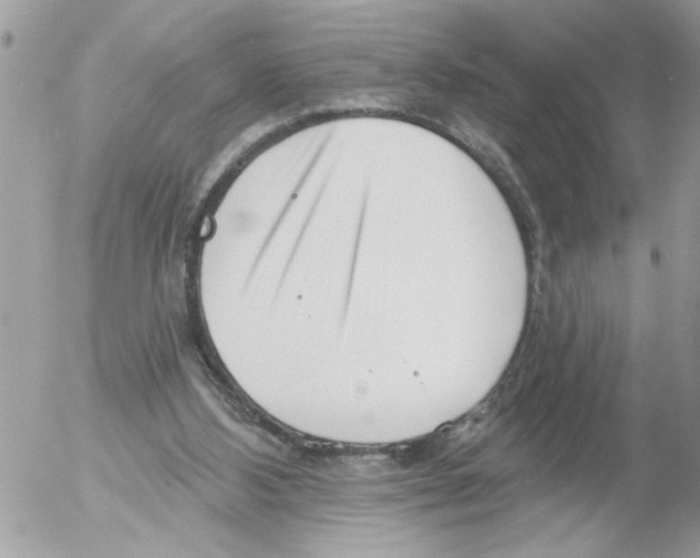 X0000052540108200507291900