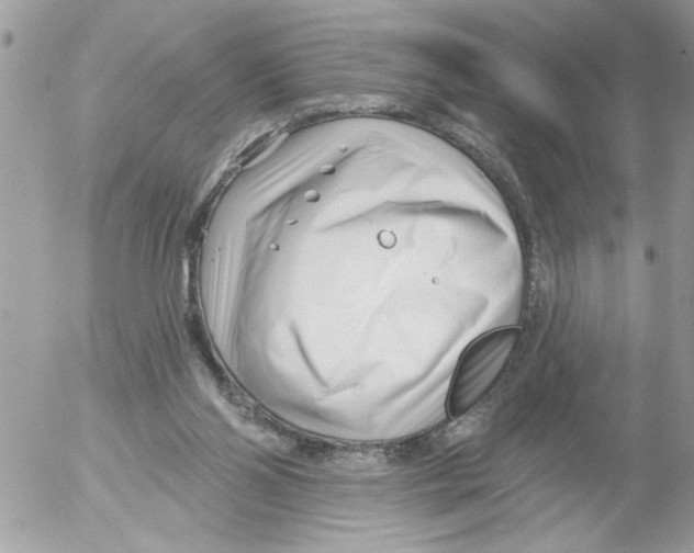 X0000052540110200507291900