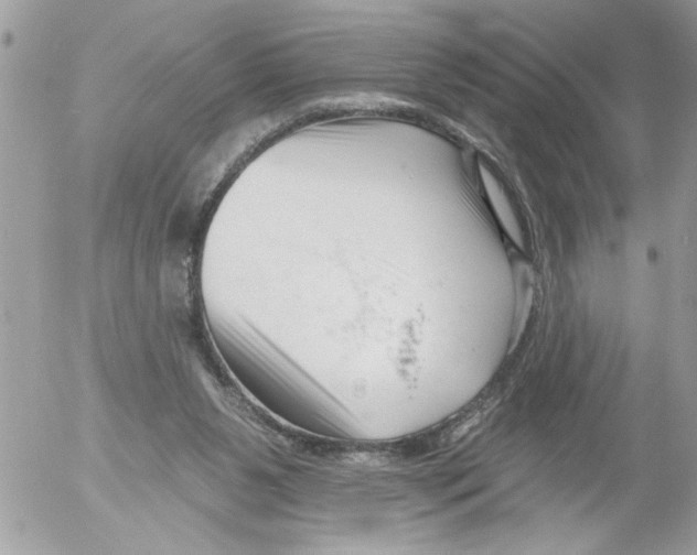 X0000052540111200507291900