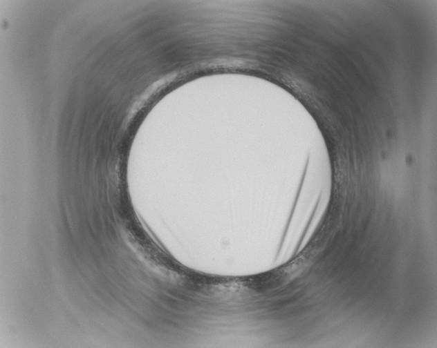 X0000052540112200507291900