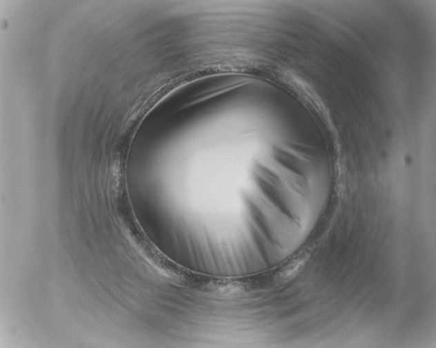 X0000052540113200507291900