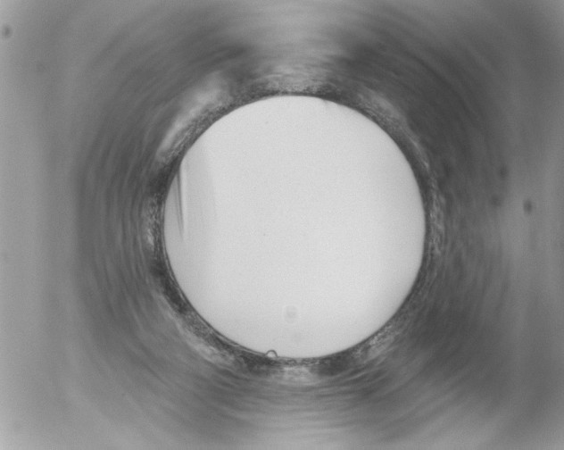 X0000052540114200507291900