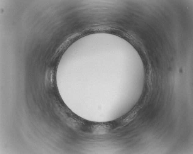 X0000052540115200507291900