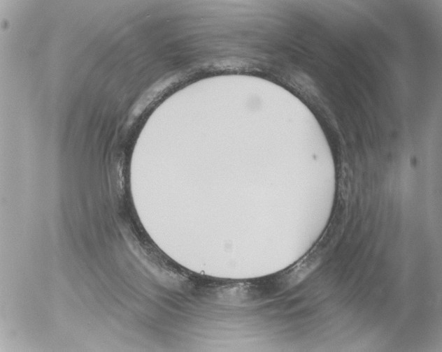 X0000052540116200507291900