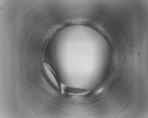 X0000052540117200507291900