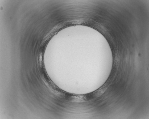 X0000052540118200507291900