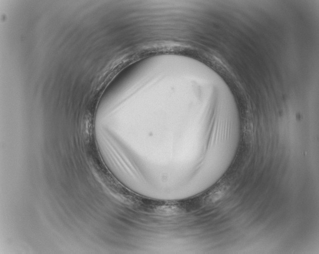 X0000052540119200507291900