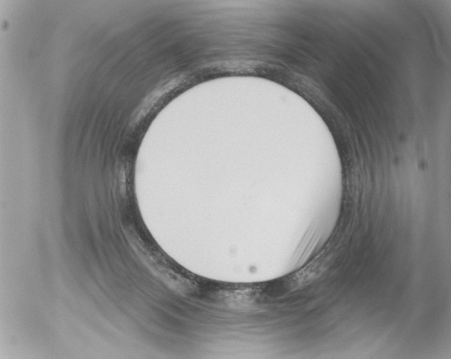 X0000052540120200507291900