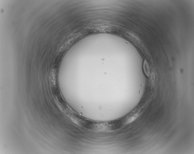 X0000052540121200507291900