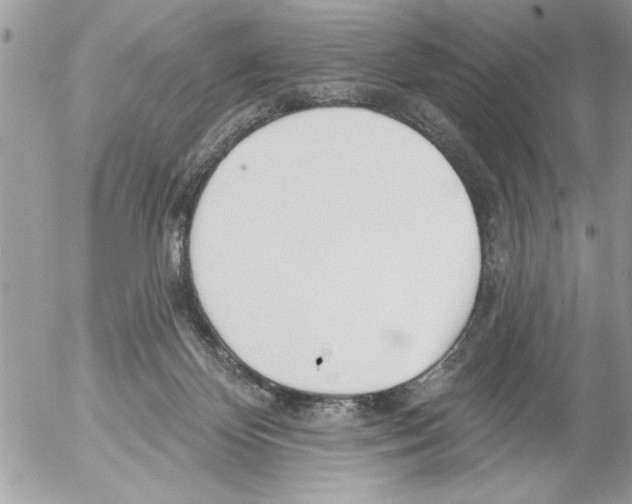 X0000052540124200507291900