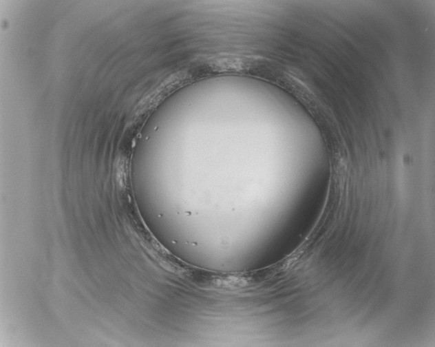 X0000052540125200507291900