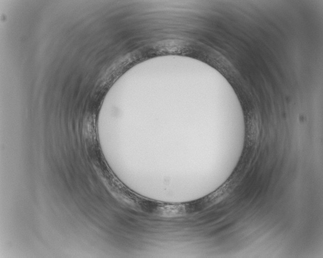 X0000052540126200507291900