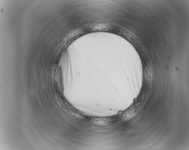 X0000052540127200507291900