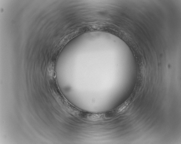 X0000052540129200507291900