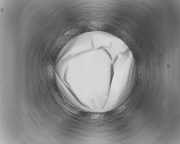 X0000052540130200507291900