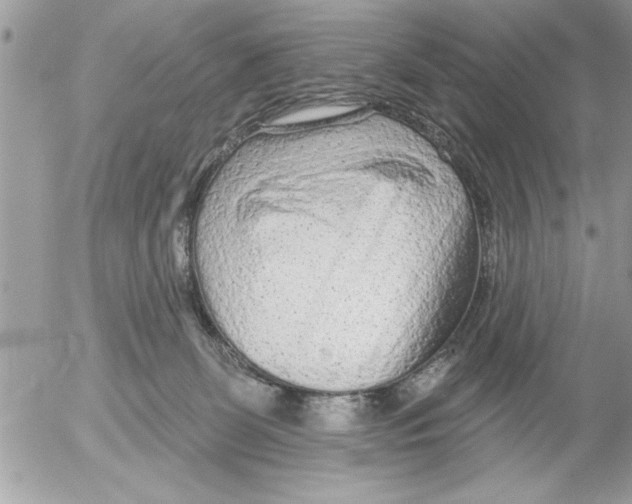 X0000052540131200507291900