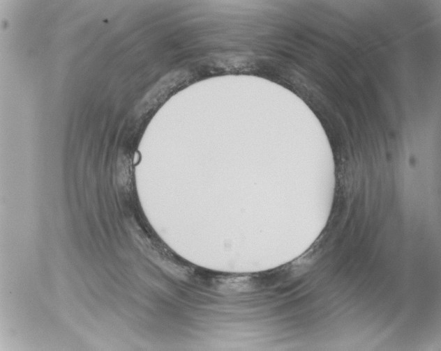 X0000052540132200507291900