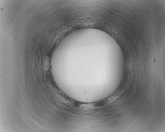 X0000052540133200507291900