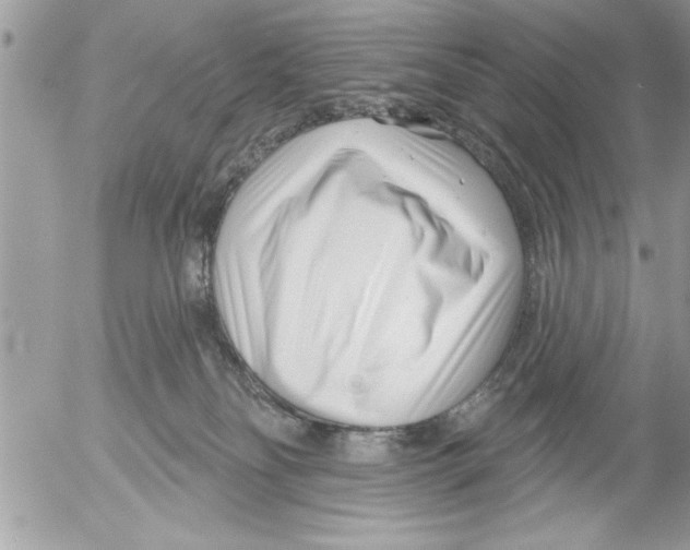 X0000052540134200507291900