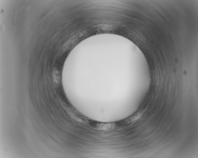 X0000052540135200507291900