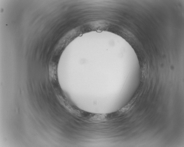 X0000052540138200507291900