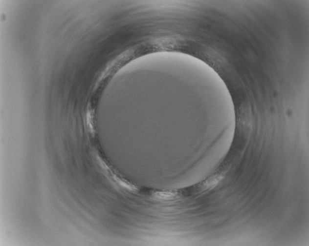 X0000052540139200507291900