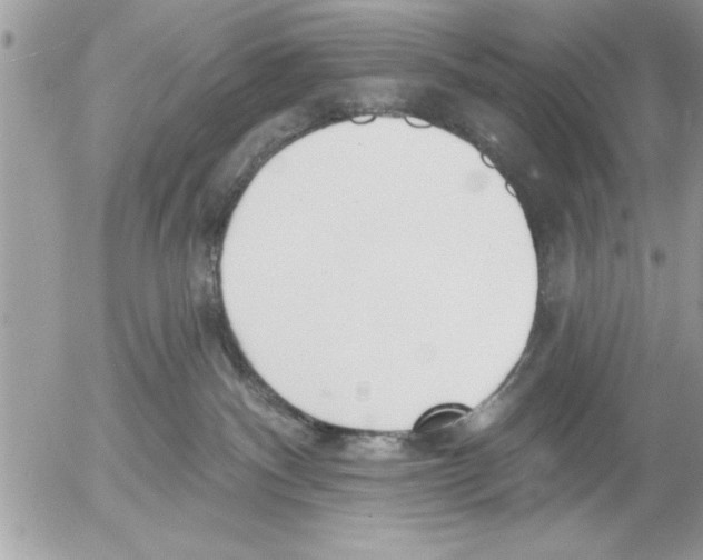 X0000052540140200507291900