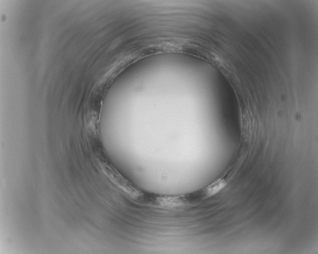 X0000052540141200507291900