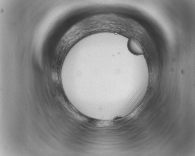 X0000052540142200507291900