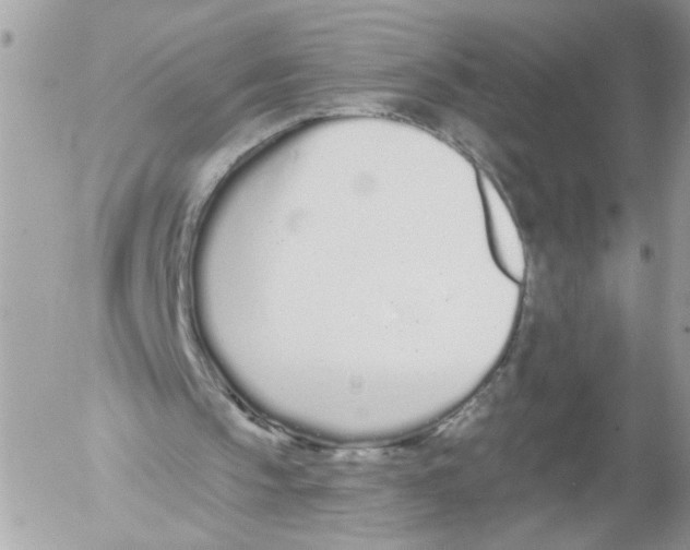 X0000052540145200507291859