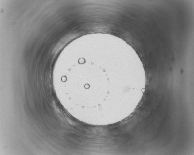 X0000052540146200507291859