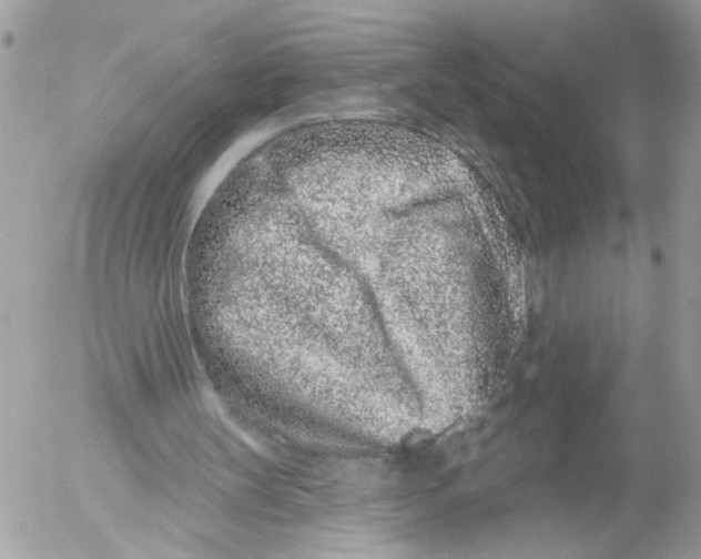 X0000052540147200507291859