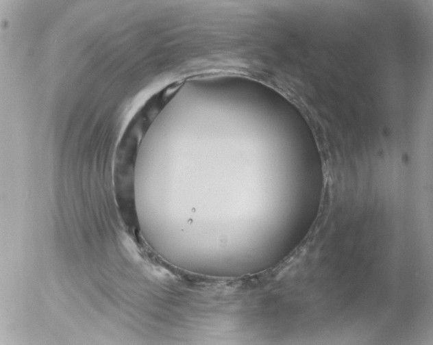 X0000052540148200507291859